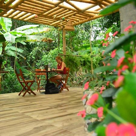 La Percha Hostal 팔로미노 외부 사진